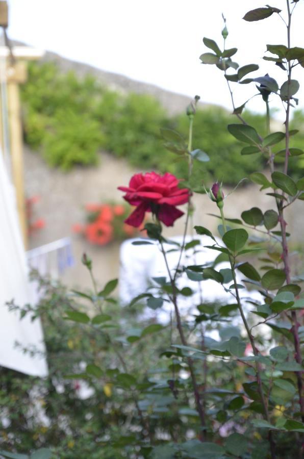 Le Clos Des Pommes Bioncourt Kültér fotó