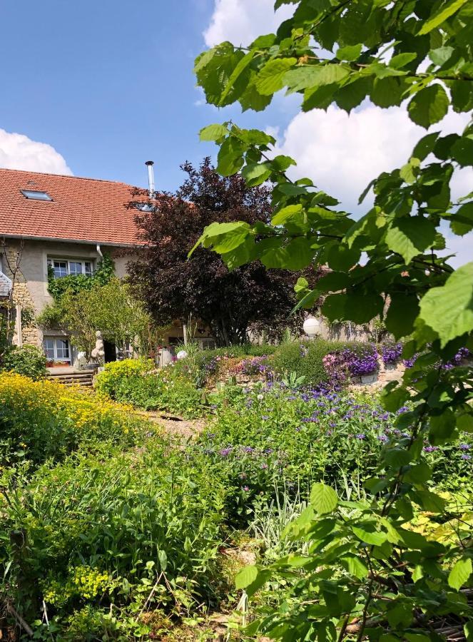 Le Clos Des Pommes Bioncourt Kültér fotó